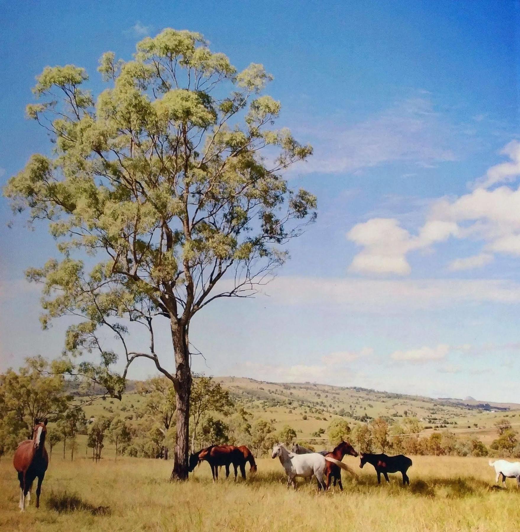 Boonah Valley Motel 外观 照片