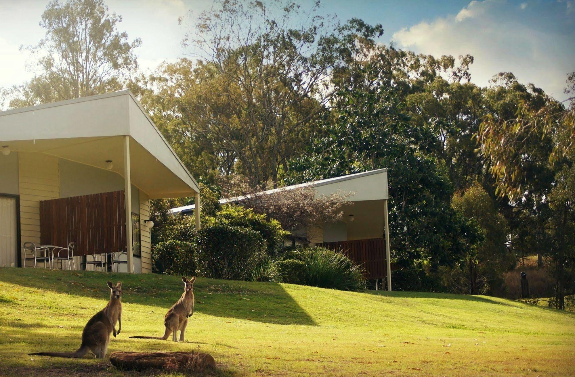Boonah Valley Motel 外观 照片